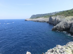 CIMG0143