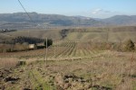 Stefan Kölliker è il nuovo presidente della Commissione federale per la protezione della natura e del paesaggio