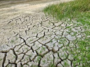 Svizzera: nuovo sistema di allerta contro la siccità