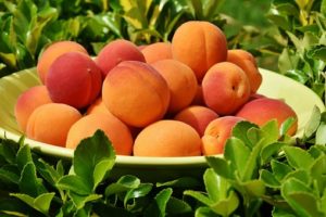Ricette di stagione: dolce alle albicocche
