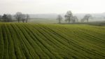 Svizzera: sondaggio dell’UFAM sulla provenienza dei prodotti agricoli